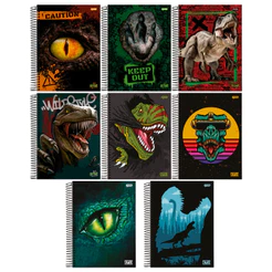 Kit 4 Cadernos Universitários 10 Matérias 160 Folhas Capa Dura 20x27cm Stone Jandaia