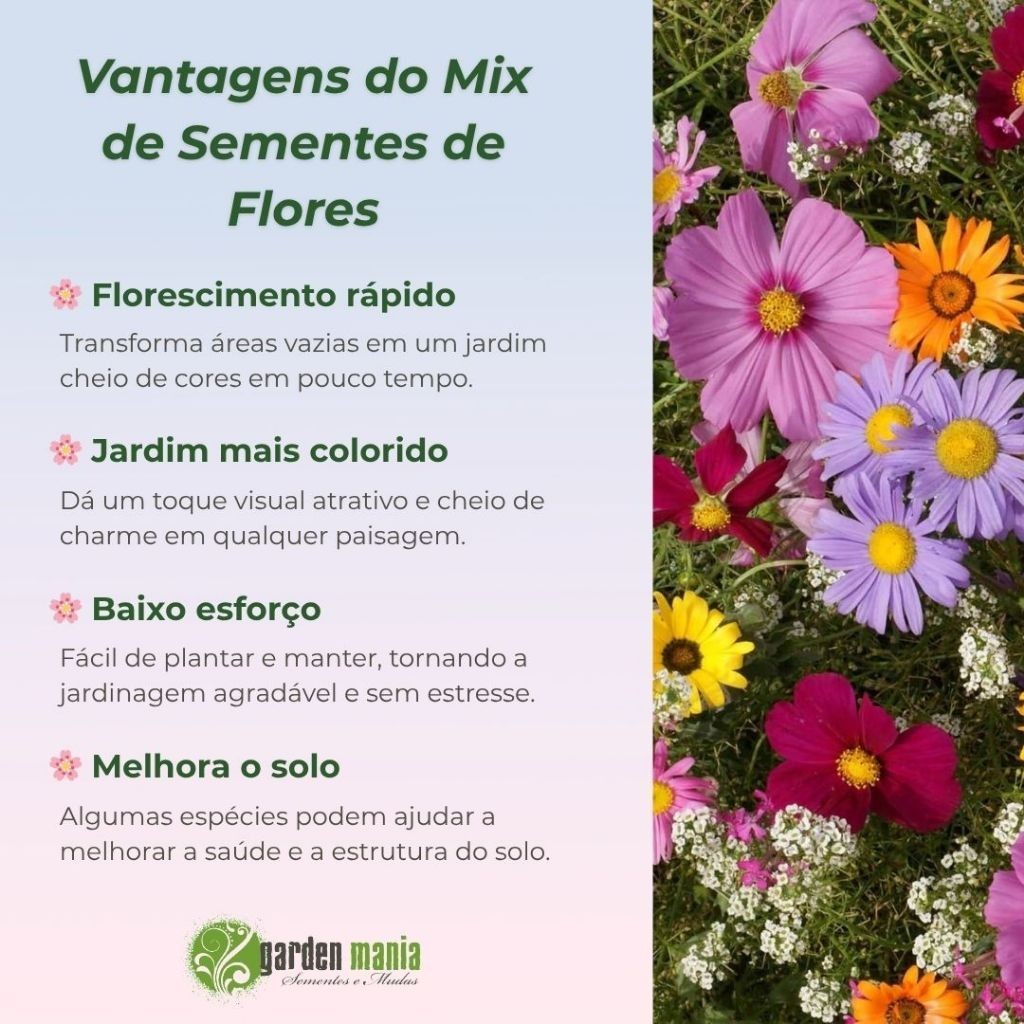 direto da natureza Rara Mix 100 Sementes de Flores Sortidas -  Para Jardim e Floreiras - Fácil cultivo! Premium