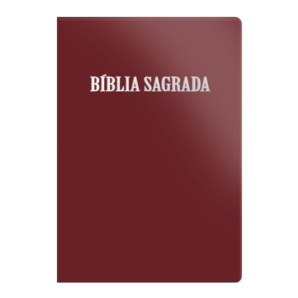 Bíblia Sagrada ACF | Letra Normal | Luxo | Rosê em Oferta na Shopee