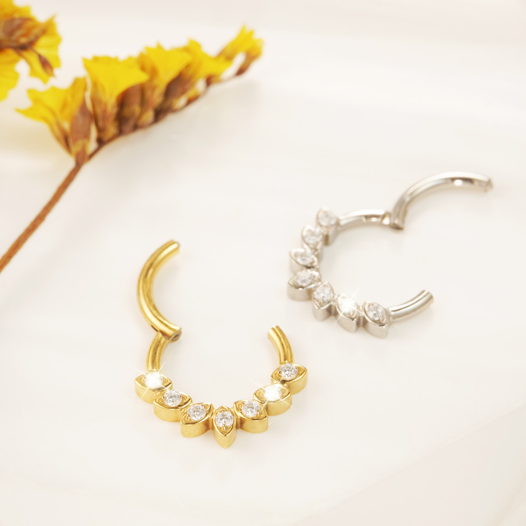 Detalhes do Piercing Argola Titânio Segmento Articulado Detalhes Zircônia Helix Rook Conch Nariz Orelha Boca Earring Daith