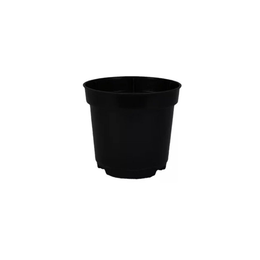 Kit de Vasos pote 6 Preto Para Mini Cactos Rosa do Deserto e Suculentas na COR preto em Oferta na Shopee
