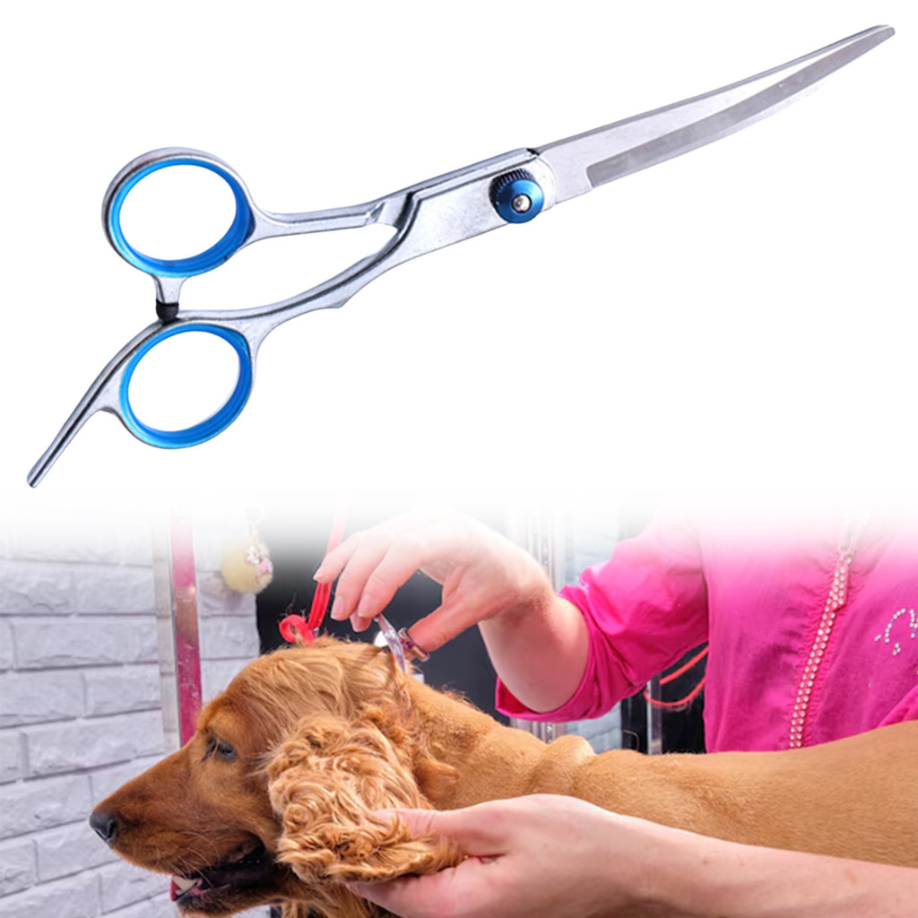 Tesoura De Segurança Para Cuidados Com Animais De Estimação , Portátil De Aço Inoxidável Cães E Gatos , Suprimentos