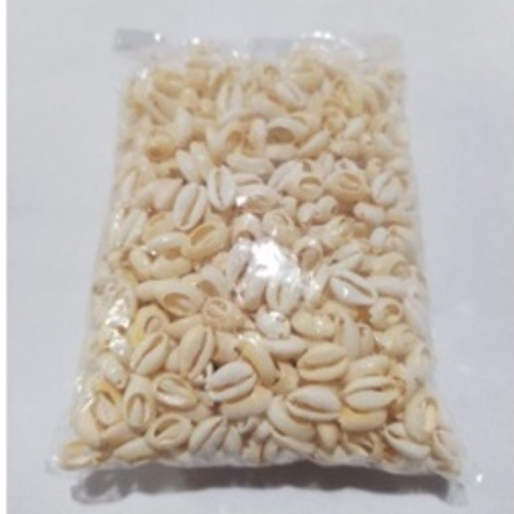 Buzios  500 GRAMAS Cortado para Artesanato Pacotes com 500gr em Oferta na Shopee