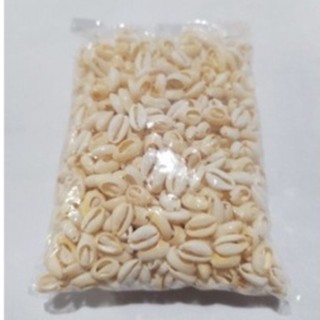 Buzios  500 GRAMAS Cortado para Artesanato Pacotes com 500gr