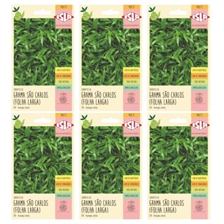 6X Sementes Grama São Carlos (Folha Larga) ISLA em Oferta na Shopee