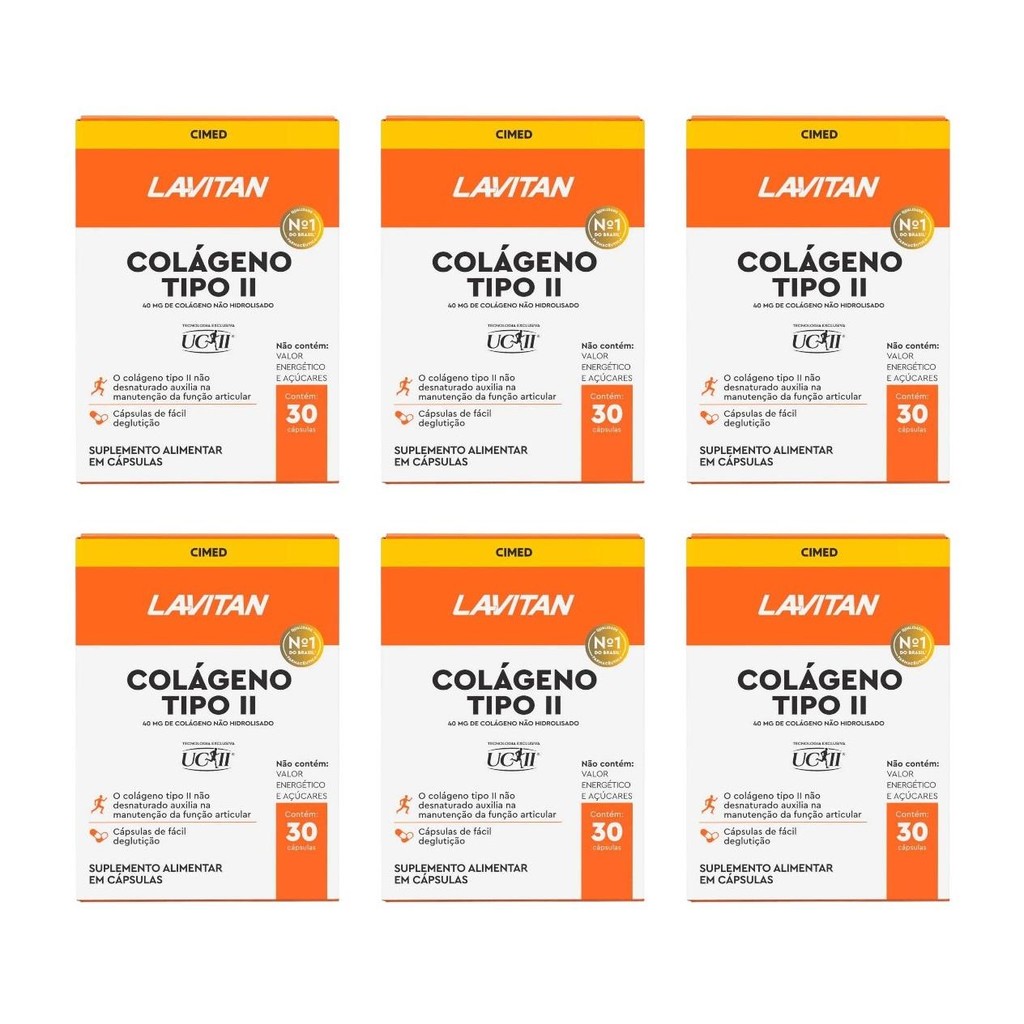 Kit Lavitan Colágeno Tipo II 40mg Com 6 Unidades De 30 Cápsulas Cada