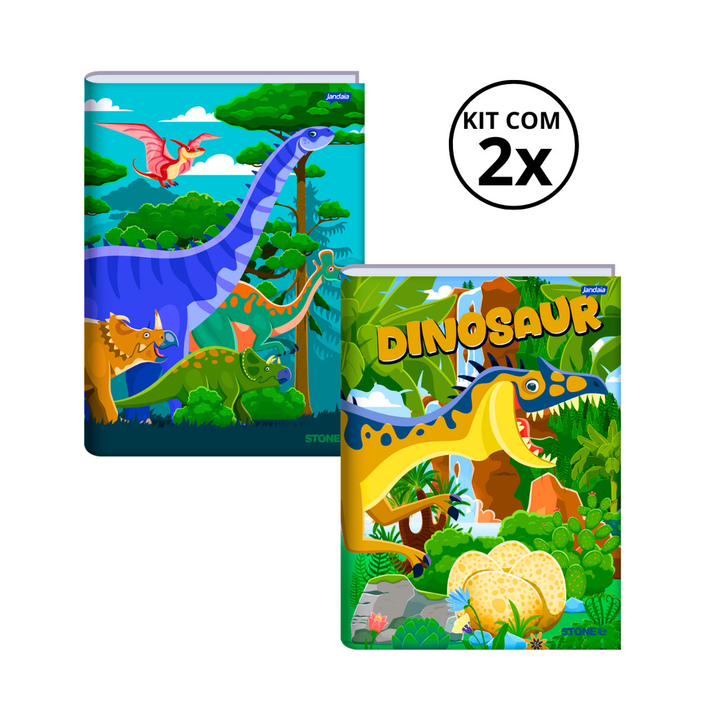 Kit Com 02 Cadernos Brochura Universitário  80 Folhas Stone - Jandaia em Oferta na Shopee