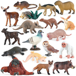 Figura de Ação de Animais Selvagens da Floresta Orangotango Pombo Ouriço Meerkat Capivara Modelo de Boneca em PVC em Oferta na Shopee