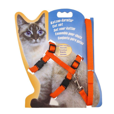 Coleira Peitoral Gato Pet Guia Com Regulagem Confortável