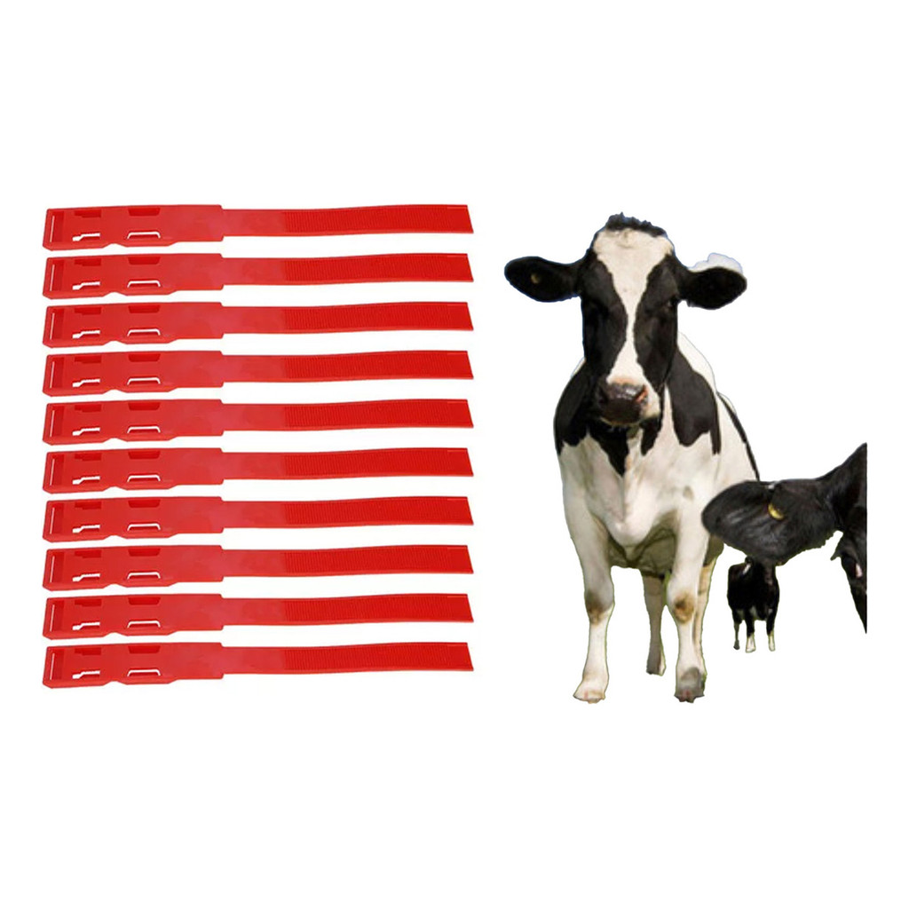Kit 10 Peças Pulseira De Marcação De Vaca Coleiras De Id