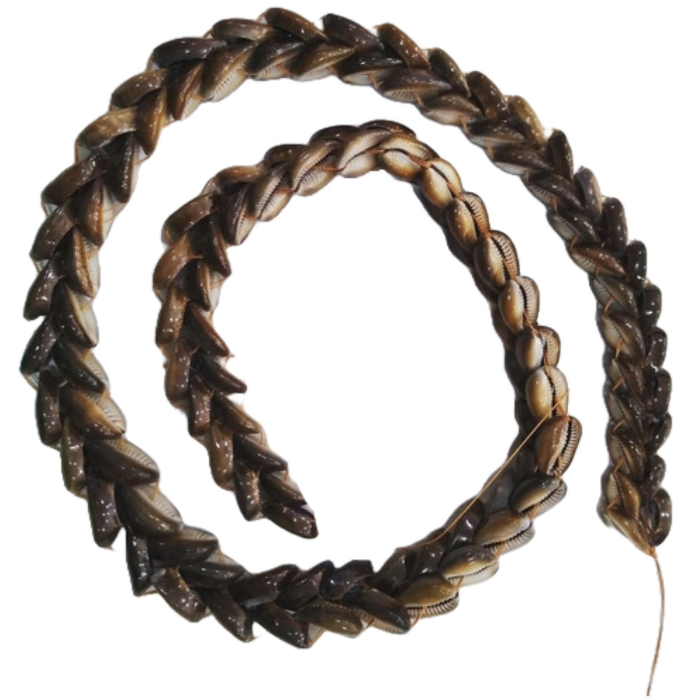 Braja Búzios Africano: Onde Comprar | BuscaProdutos