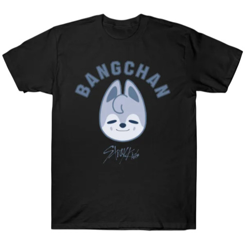 Camiseta Stray Kids Bangchan Kpop Adulto/Infantil Lançamento Camiseta Em Algodao 33