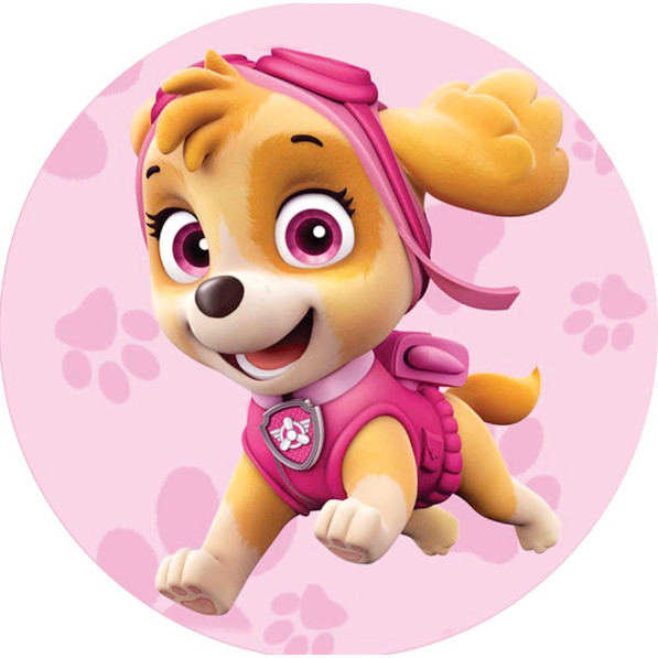 Painel Festa Desenho Redondo Tecido Sublimado Tema P.C  Sky 1,50x1,50 em Oferta na Shopee