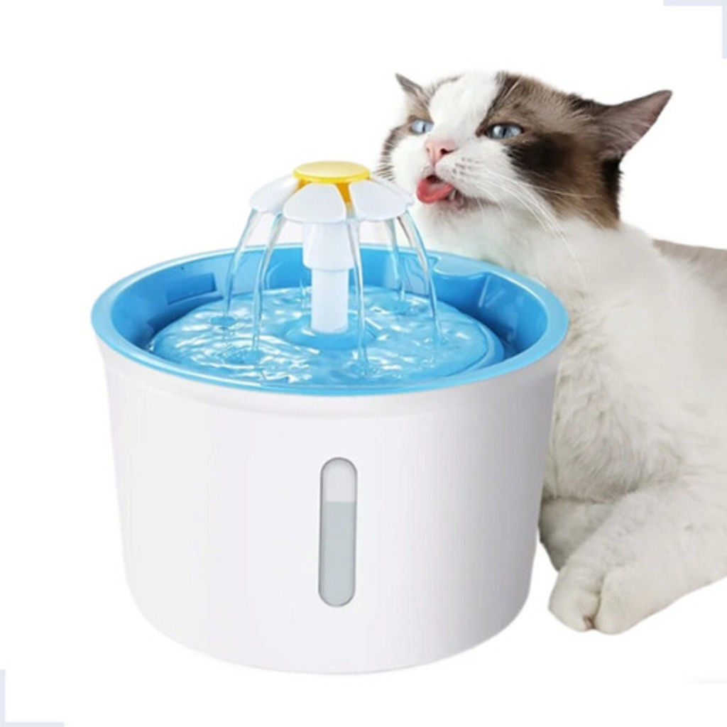 Bebedouro Pet Importado fonte água 1,6L filtro automático cães gatos