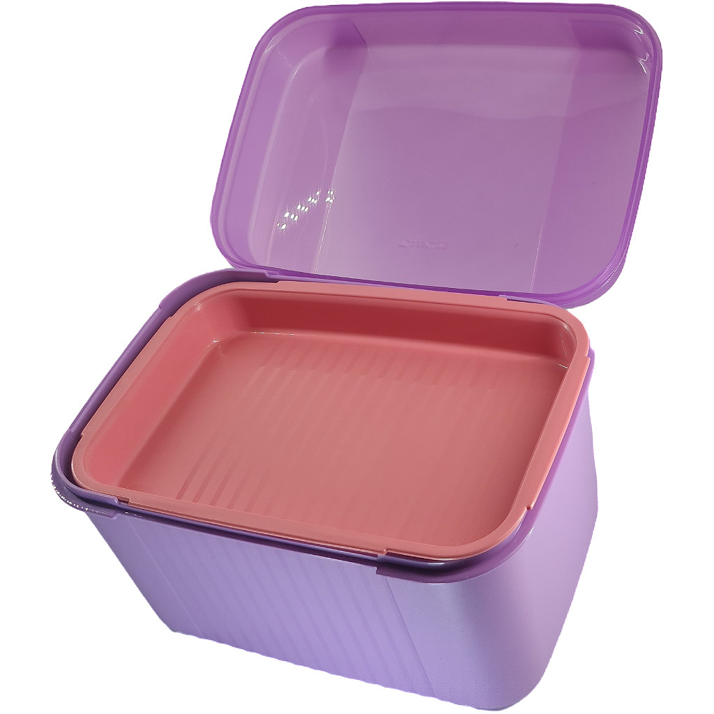 Tupperware Visual Box 4,5 Litros Com Bandeja (caixa Organizadora) Com garantia e nota fiscal