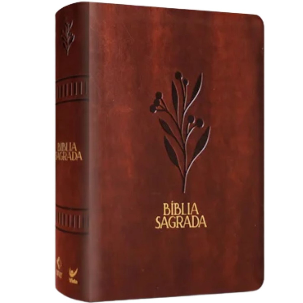 Bíblia Sagrada Mulheres | Viviane Martinello | NVT |Espaço para Anotações |Capa Luxo Oliveira Marrom em Oferta na Shopee