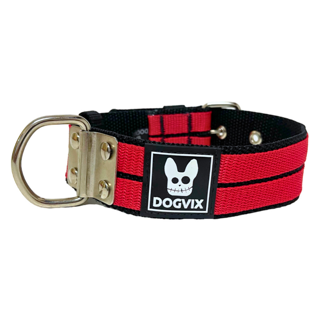 Coleira Dupla Nylon Para Cachorro Colar Pet Pitbull Raça Media e Grande Salu Pet