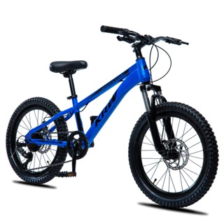 Bicicleta MTB KRW Aro 20 com câmbio 7 velocidades L20 em Oferta na Shopee