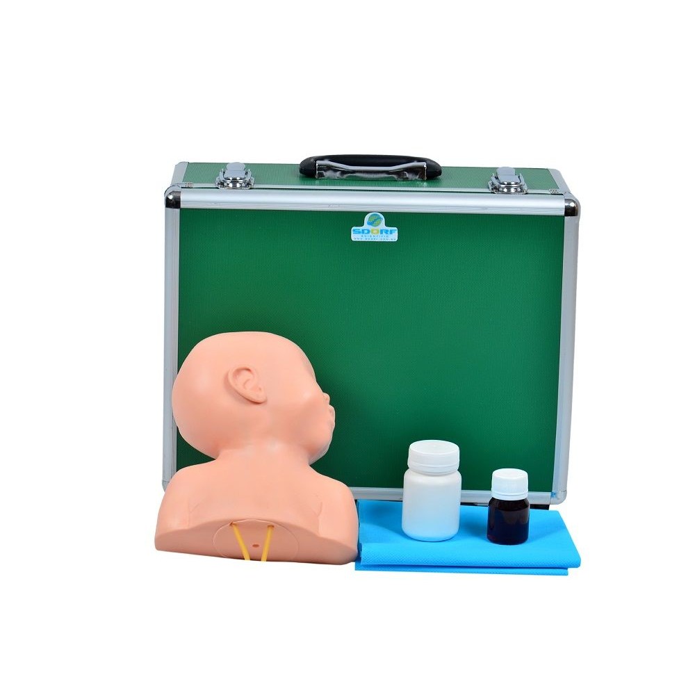 Cabeça Pediátrica Bebê Punção Venosa Simulador Médico