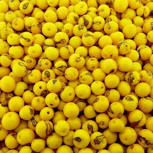 Semente De Açaí Natural - Amarelo - 8mm - 1000pçs