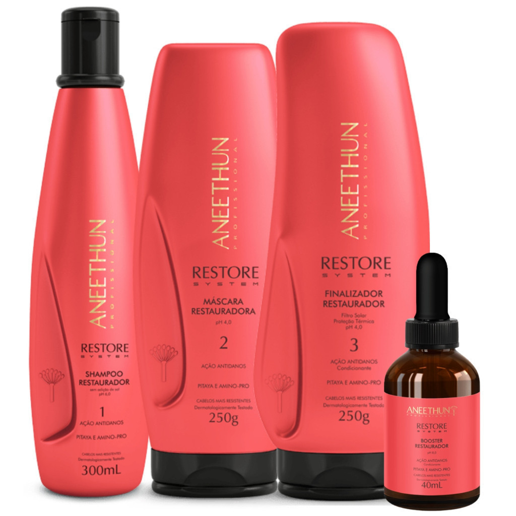 Kit Restore Aneethun Restauração dos Fios Shampoo 300ml Mascara 250g Finalizador 250g Booster 40ml + MIMO DA LOJA