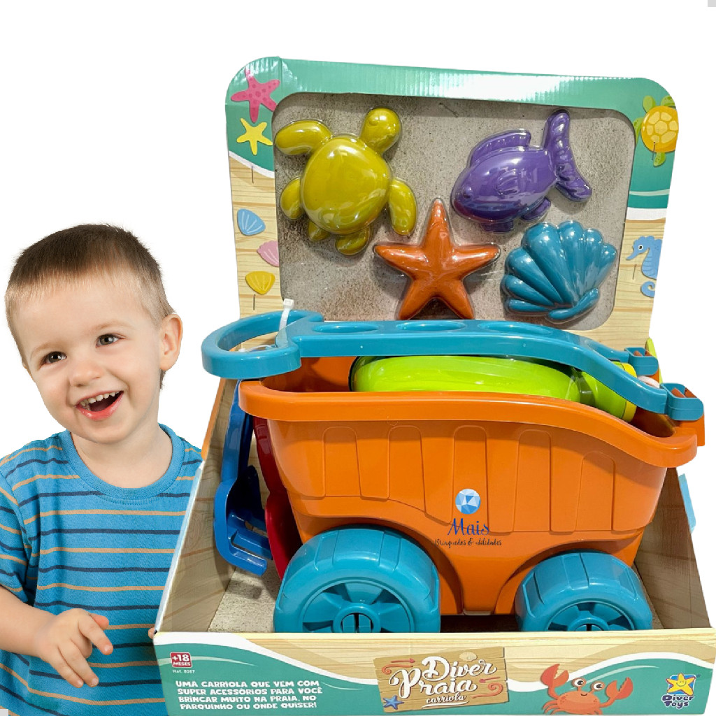 Carriola De Praia Com Rodinha Kit Completo Baldinho Regador