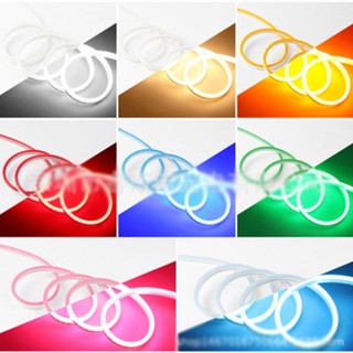 5m Mangueira Fita Led 12v Neon Corte 2,5cm Alto Brilho Ip66 Colorido Com + Fonte em Oferta na Shopee