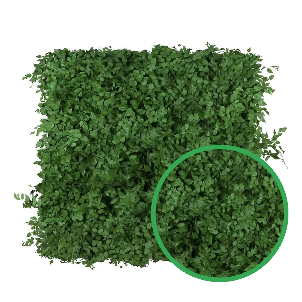 Painel Muro Inglês 50x50cm com Jardim Vertical