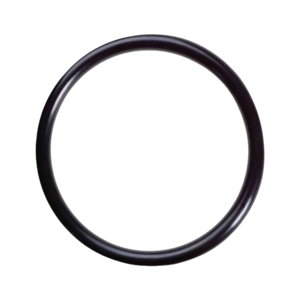 Oring Visor do Pré-Filtro PF-22 151,77x5,33mm - Dancor