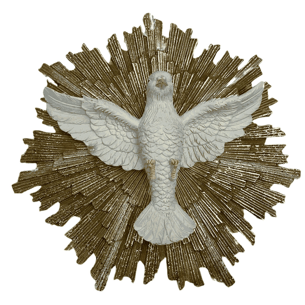 Divino Espírito Santo Decorativo, Pomba Branca com Resplendor Dourado, Arte Sacra para Parede