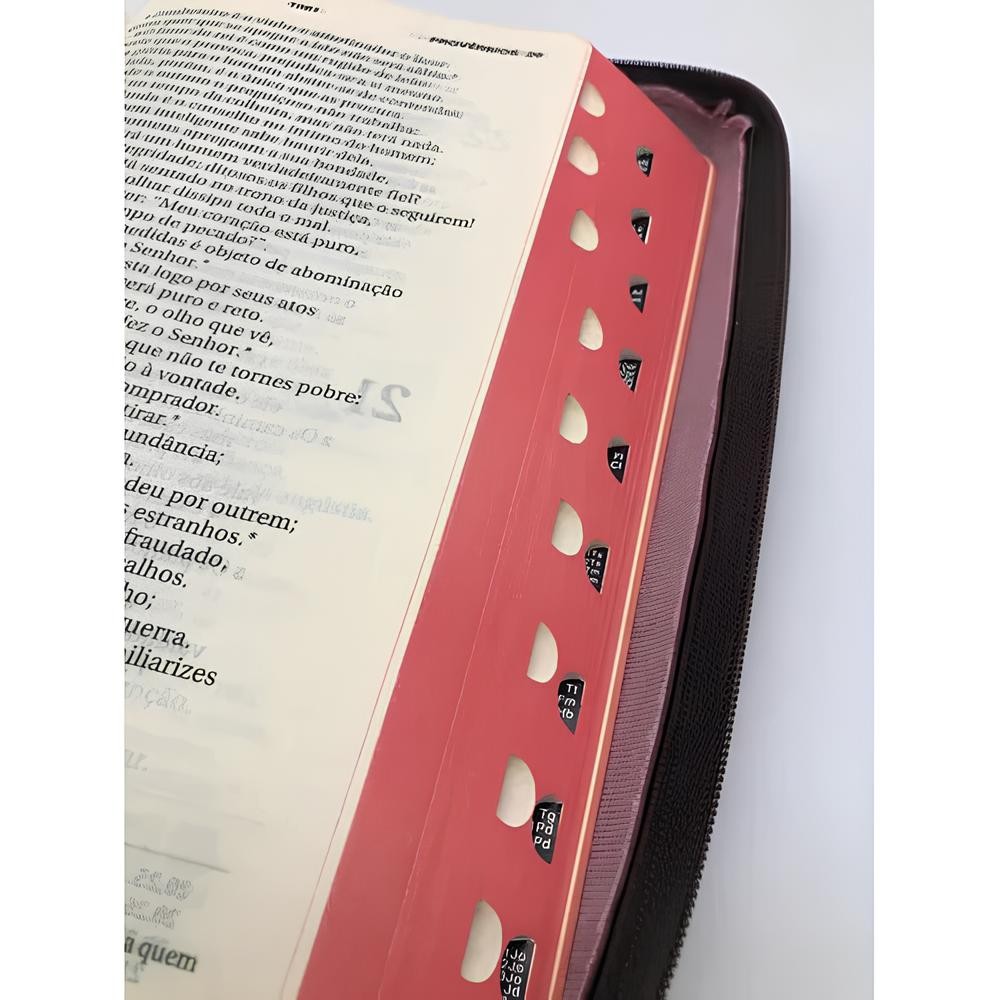 Bíblia Sagrada Católica Ave Maria - Letra Maior Ziper - Marrom — imagem 2 de 2