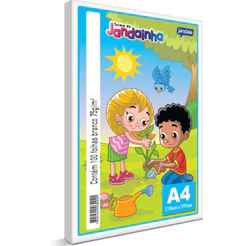 Papel Sulfite A4 75g Branco Jandainha Pacote Com 100 Folhas