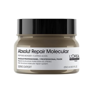 Loréal Professionnel Serie Expert Absolut Repair Molecular Máscara 250ml em Oferta na Shopee