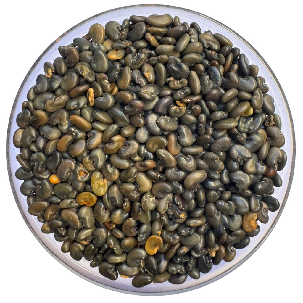 Crotalaria Juncea Certificada 1 Kg Promocao em Oferta na Shopee