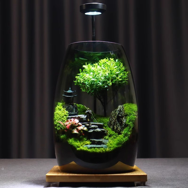 Micro Paisagem de Musgo Eco Garrafa Criativa Paisagismo de Mesa Planta Verde em Vaso Prese...