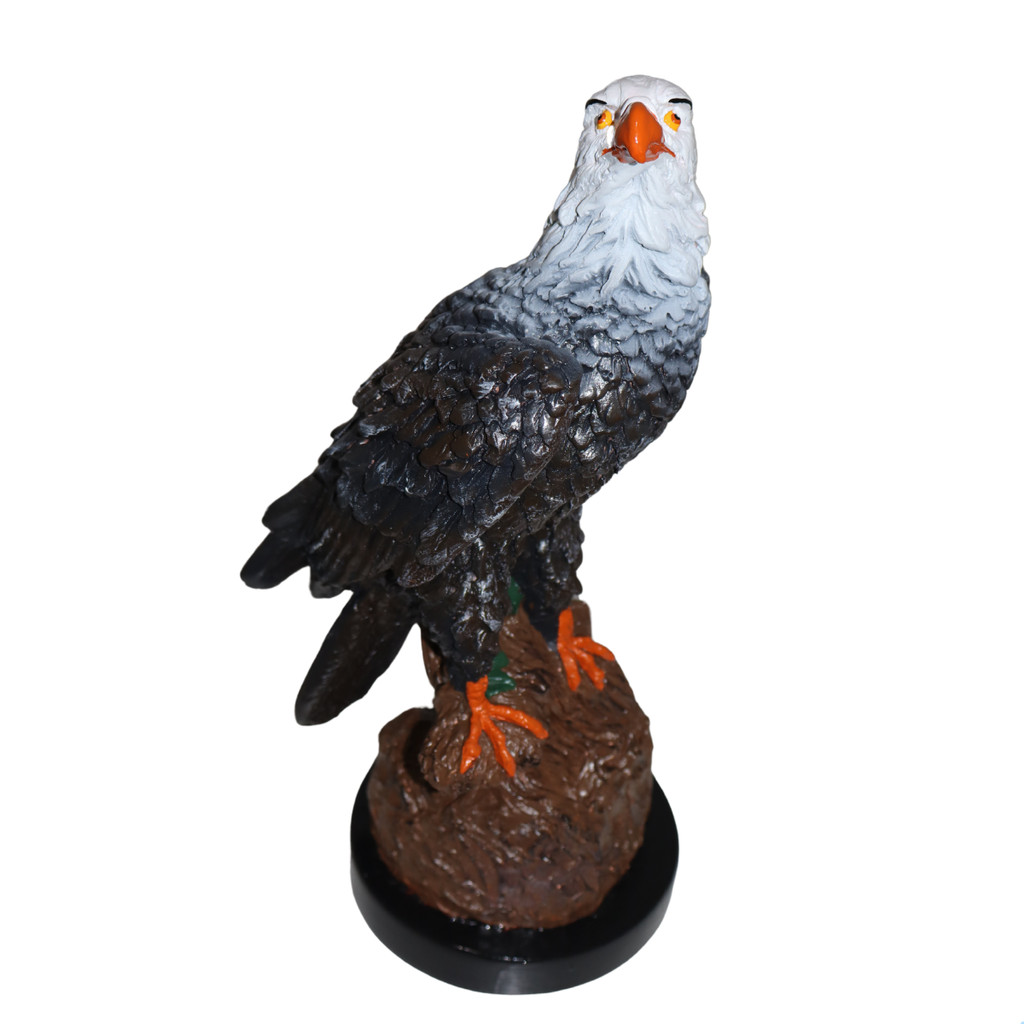Gaviao Aguia Gesso Espanta Pombo E Passarinhos Decoracao Casa Jardim Estatua Enfeite Casa Texturizado