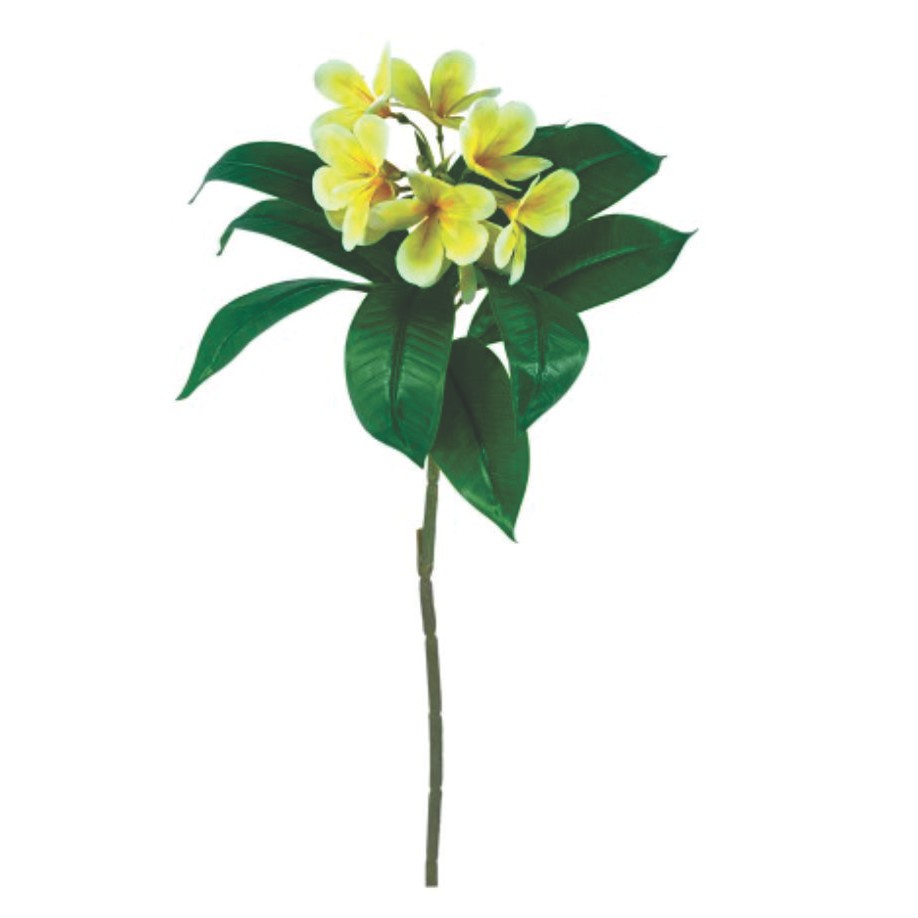 HASTE JASMIM MANGA 80CM (9605006)