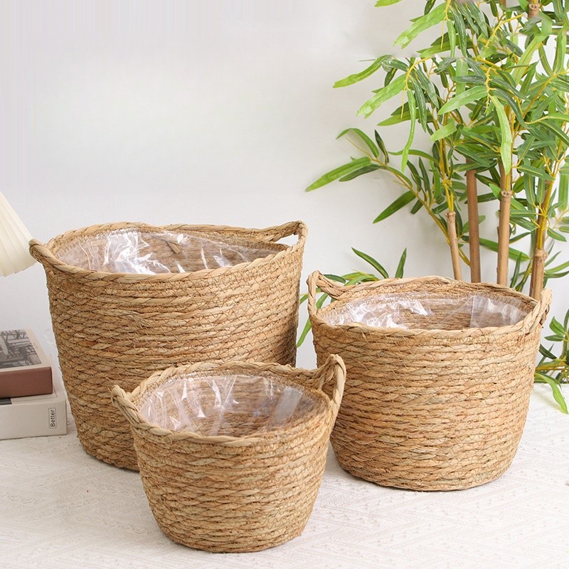 O que é Vaso para Interiores? Guia e Onde Comprar | BuscaProdutos