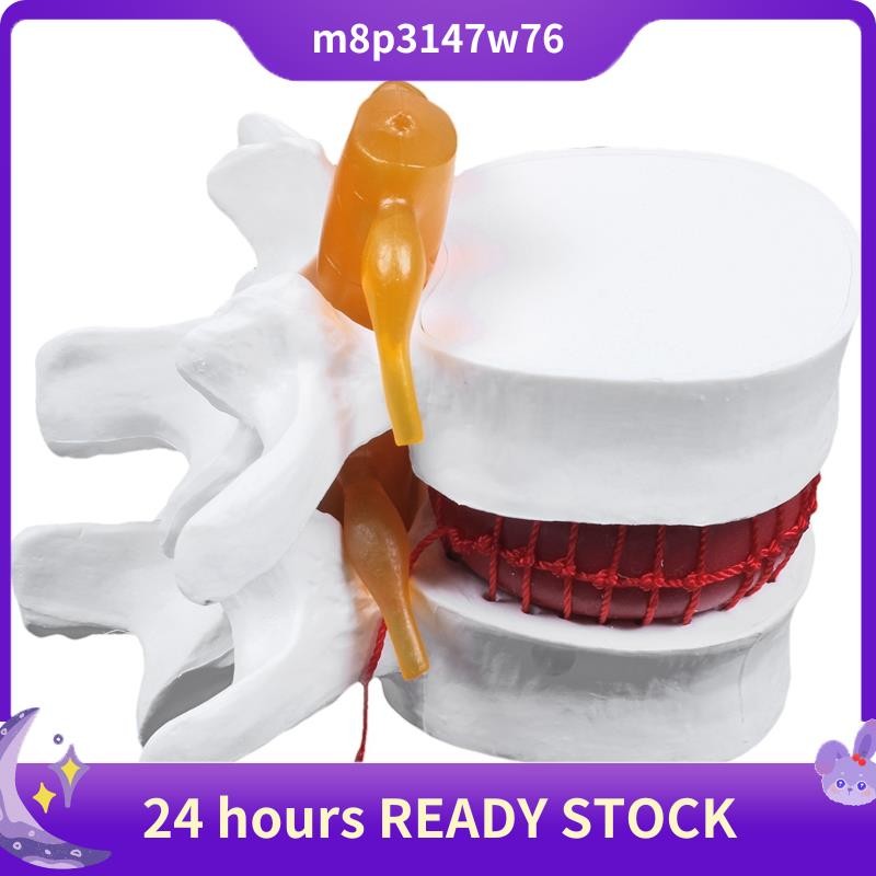 O que é Cérebro e Coluna? Guia e Onde Comprar | BuscaProdutos