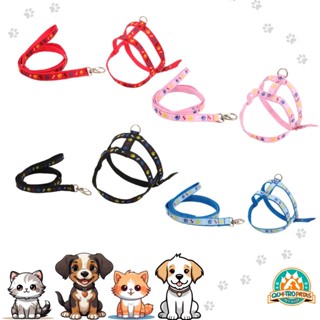 Guia Peitoral Cães de Pequeno Médio Porte Reforçada D&G Pet CORES E TAMANHOS VARIADOS em Oferta na Shopee