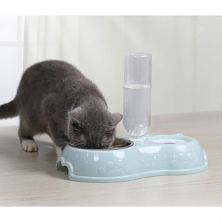 Comedouro E Bebedouro Automático Para Cães Gatos Pet Filhotes (23-10) em Oferta na Shopee