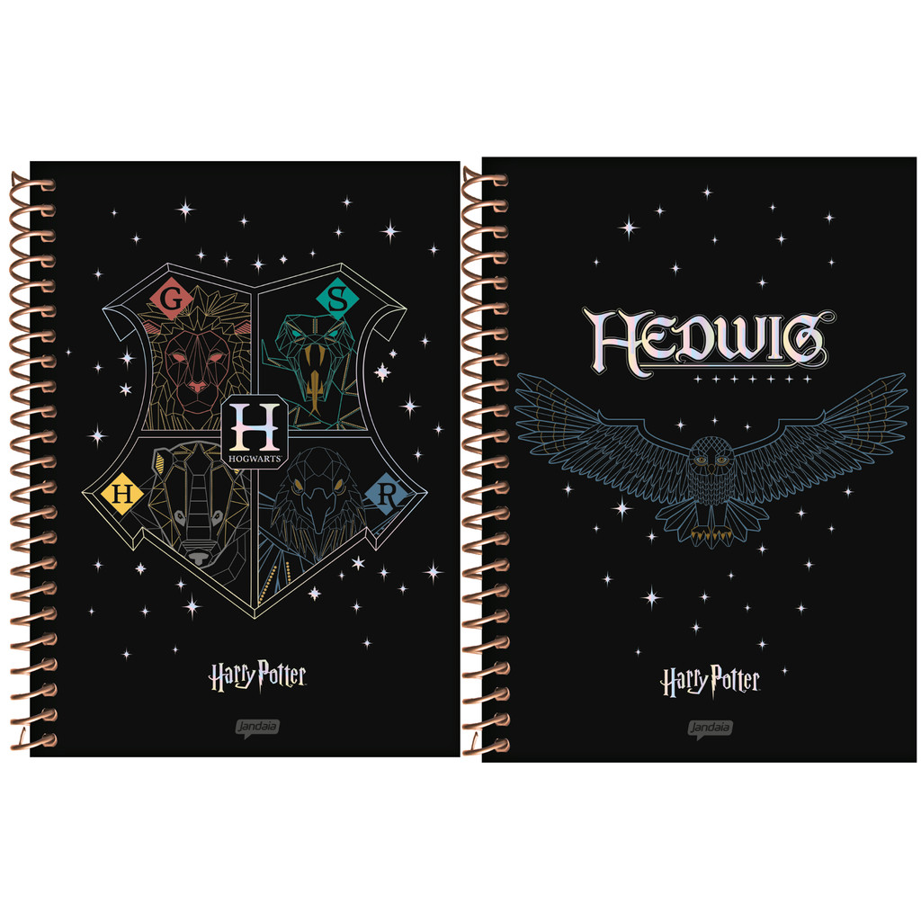 Caderno Universitário 10 Matérias 160 Folhas Harry Potter Premium - Pacote com 4 Unidades