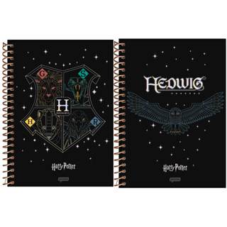 Caderno Universitário 10 Matérias 160 Folhas Harry Potter Premium - Pacote com 4 Unidades em Oferta na Shopee