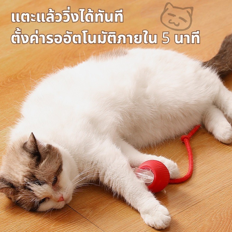ลูกบอลแมว ลูกบอลแมวอัตโนมัติ แบบชาร์จไฟได้ ของเล่นแมว สมาร์ทไฟฟ้า หมุน ของเล่นแมวแบบโต้ตอบ อุปกรณ์สําหรับแมว