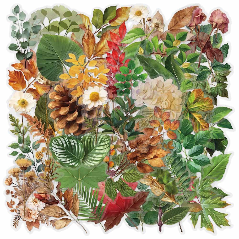 50 Peças Adesivos Transpanrent De Plástico Para Animais De Estimação Com Folhas Verdes E Plantas em Oferta na Shopee