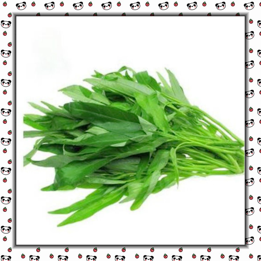 pcs 200 500 Sementes de Couve do Pântano, Sementes de Vegetais de Espinafre Aquático para Casa e Jardim