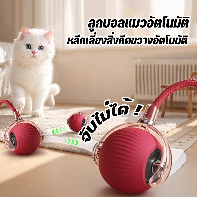 ลูกบอลแมว ลูกบอลแมวอัตโนมัติ แบบชาร์จไฟได้ ของเล่นแมว สมาร์ทไฟฟ้า หมุน ของเล่นแมวแบบโต้ตอบ อุปกรณ์สําหรับแมว - ภาพที่ 3