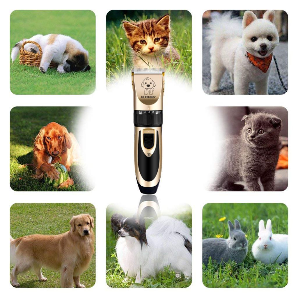 Kit Máquina Para Tosar Pet + Tesoura + Pente + Lixa Máquina Profissional Para Cachorro & Gato — imagem 2 de 2