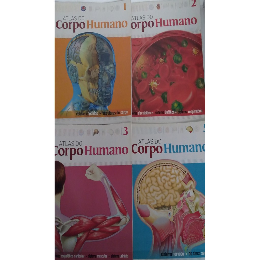 Coleção Atlas Do Corpo Humano com 4 Volumes de Richard Halti Cabral 7275112