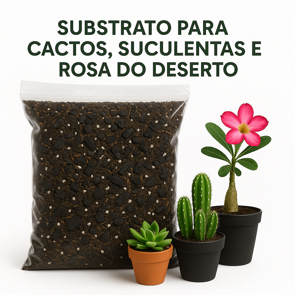 Substrato Especial para Cactos, Suculentas e Rosas do Deserto - Drenagem e Aeração Ideal em Oferta na Shopee